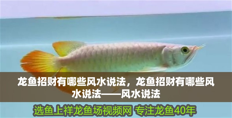 龍魚招財有哪些風水說法，龍魚招財有哪些風水說法——風水說法