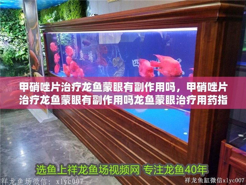 甲硝唑片治療龍魚蒙眼有副作用嗎，甲硝唑片治療龍魚蒙眼有副作用嗎龍魚蒙眼治療用藥指南