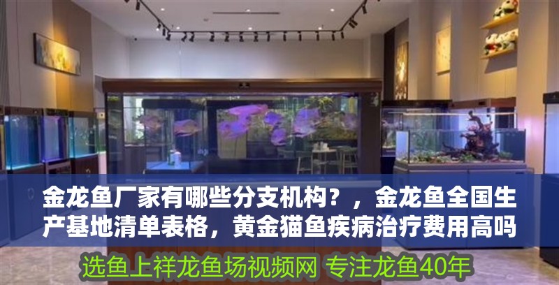 金龍魚廠家有哪些分支機構(gòu)？，金龍魚全國生產(chǎn)基地清單表格，黃金貓魚疾病治療費用高嗎