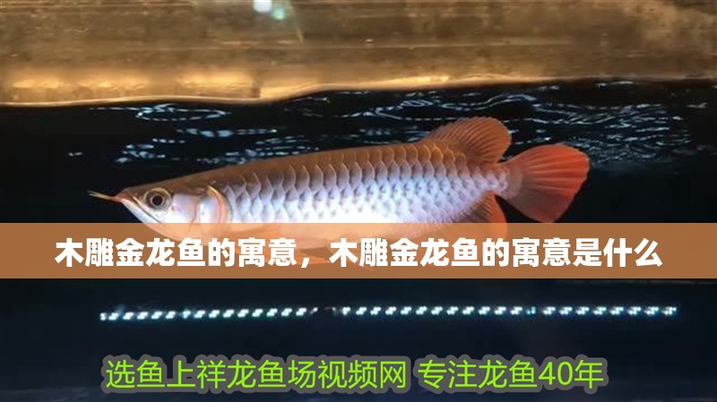木雕金龍魚的寓意，木雕金龍魚的寓意是什么