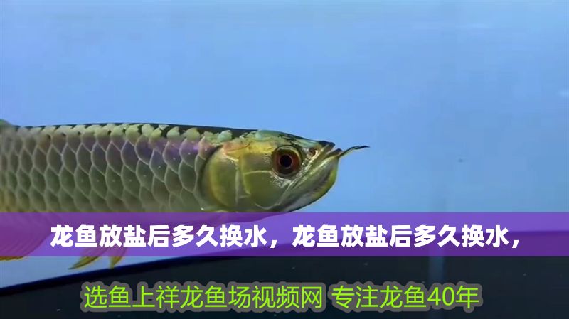 龍魚放鹽后多久換水，龍魚放鹽后多久換水，