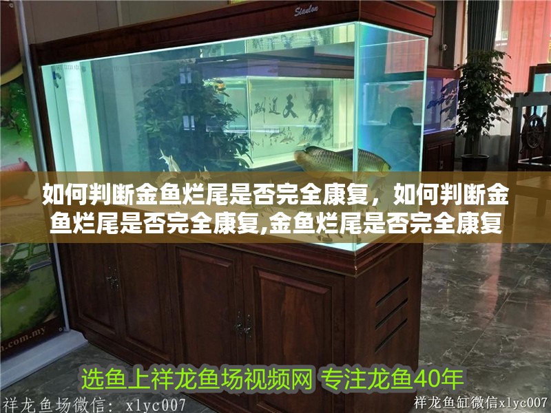 如何判斷金魚爛尾是否完全康復，如何判斷金魚爛尾是否完全康復,金魚爛尾是否完全康復