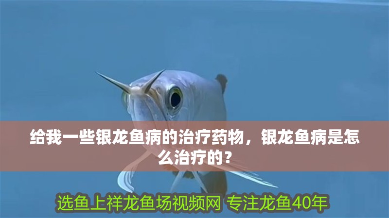 給我一些銀龍魚病的治療藥物，銀龍魚病是怎么治療的？