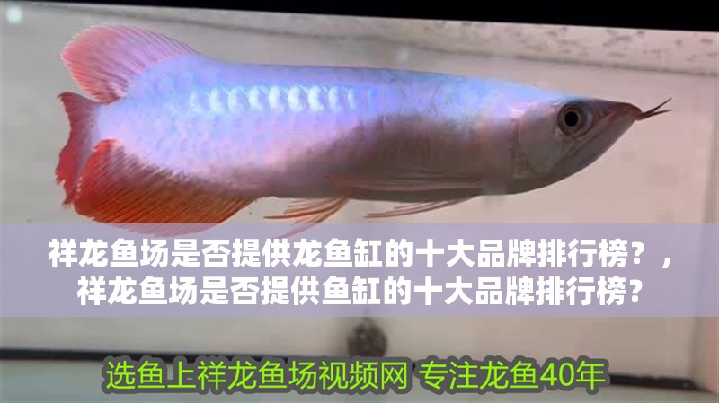 祥龍魚場是否提供龍魚缸的十大品牌排行榜？，祥龍魚場是否提供魚缸的十大品牌排行榜？