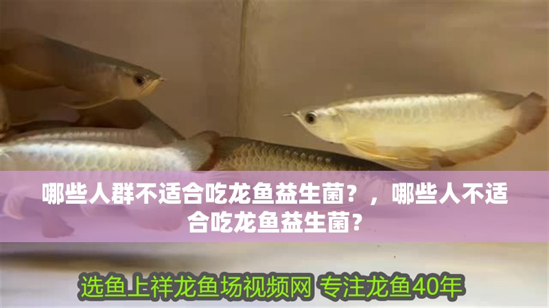 哪些人群不適合吃龍魚益生菌？，哪些人不適合吃龍魚益生菌？