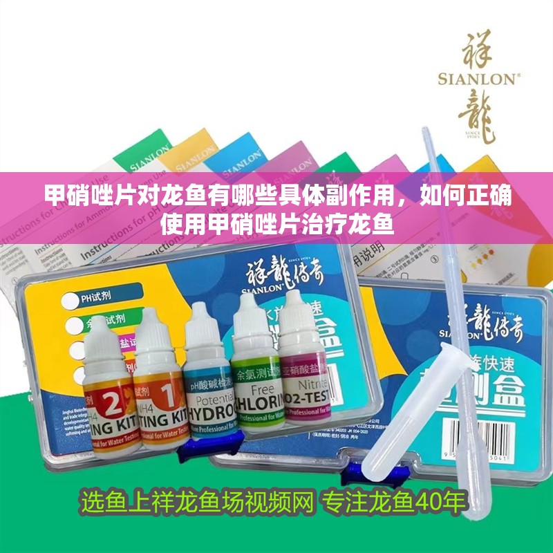 甲硝唑片對龍魚有哪些具體副作用，如何正確使用甲硝唑片治療龍魚