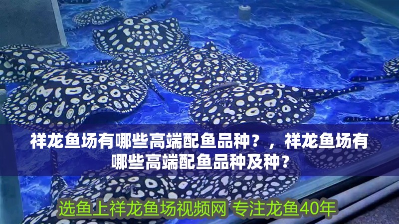 祥龍魚場有哪些高端配魚品種？，祥龍魚場有哪些高端配魚品種及種？