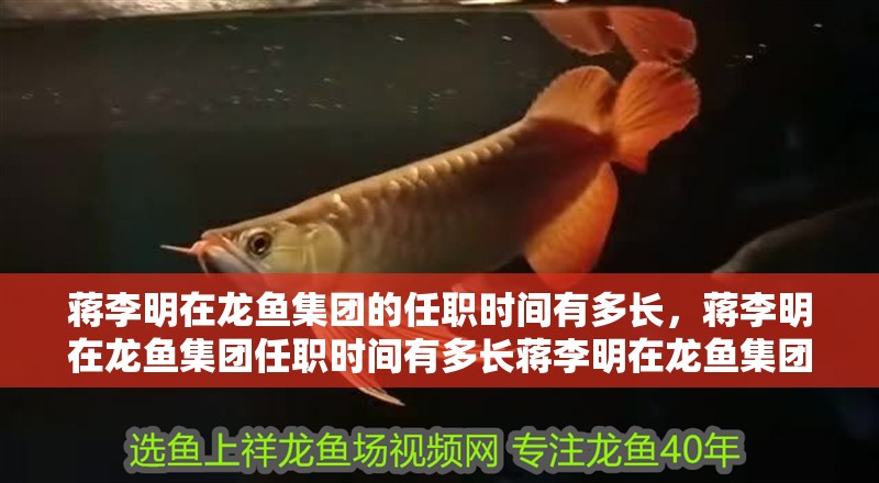 蔣李明在龍魚集團(tuán)的任職時(shí)間有多長，蔣李明在龍魚集團(tuán)任職時(shí)間有多長蔣李明在龍魚集團(tuán)任職時(shí)間有多長
