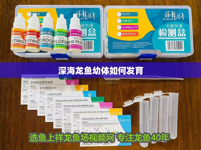 深海龍魚幼體如何發育