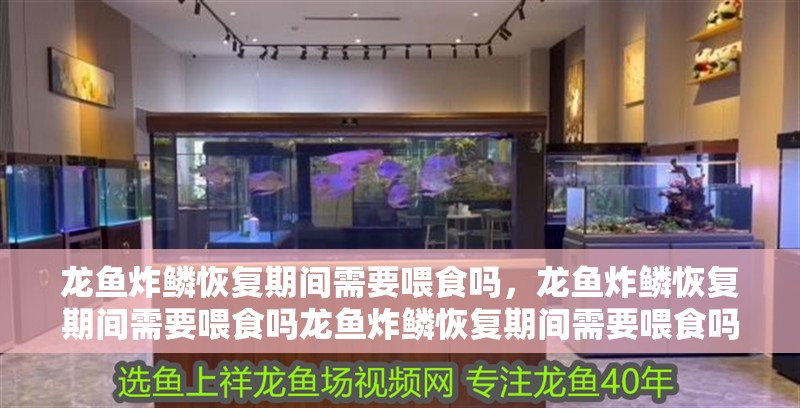 龍魚炸鱗恢復期間需要喂食嗎，龍魚炸鱗恢復期間需要喂食嗎龍魚炸鱗恢復期間需要喂食嗎