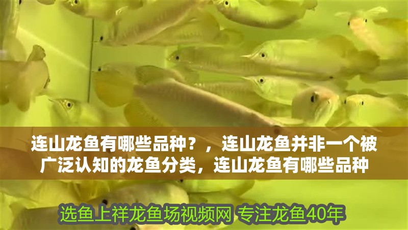 連山龍魚有哪些品種？，連山龍魚并非一個被廣泛認知的龍魚分類，連山龍魚有哪些品種