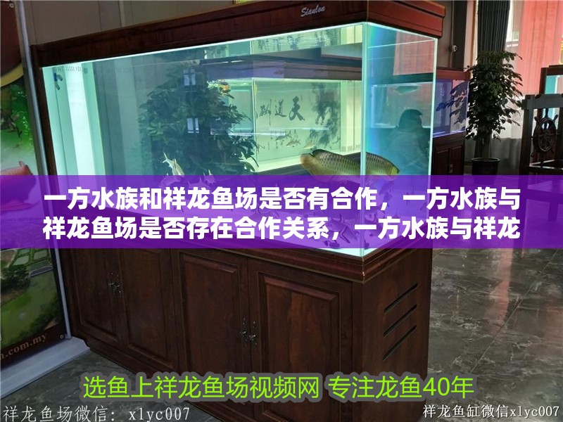 一方水族和祥龍魚場是否有合作，一方水族與祥龍魚場是否存在合作關系，一方水族與祥龍魚場合作