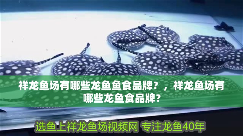 祥龍魚場有哪些龍魚魚食品牌？，祥龍魚場有哪些龍魚食品牌？
