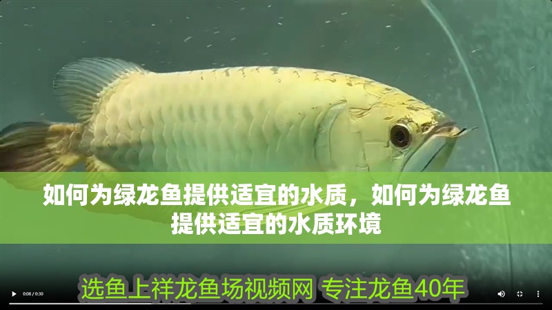 如何為綠龍魚提供適宜的水質(zhì)，如何為綠龍魚提供適宜的水質(zhì)環(huán)境