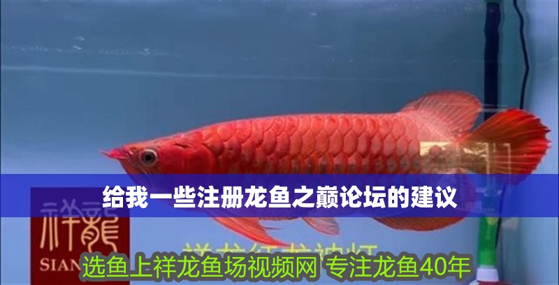 給我一些注冊(cè)龍魚(yú)之巔論壇的建議