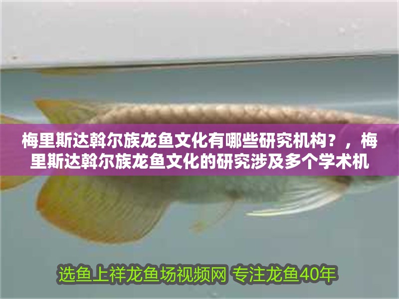 梅里斯達斡爾族龍魚文化有哪些研究機構？，梅里斯達斡爾族龍魚文化的研究涉及多個學術機構和組織
