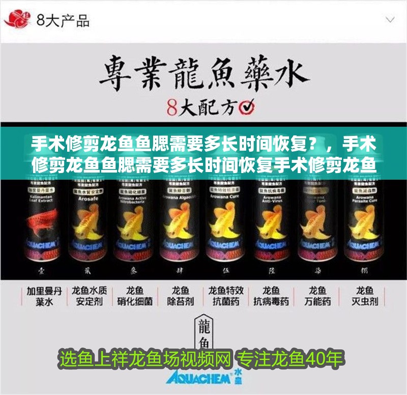 手術(shù)修剪龍魚(yú)魚(yú)腮需要多長(zhǎng)時(shí)間恢復(fù)？，手術(shù)修剪龍魚(yú)魚(yú)腮需要多長(zhǎng)時(shí)間恢復(fù)手術(shù)修剪龍魚(yú)魚(yú)腮需要多少錢