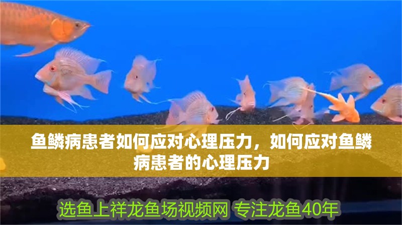 魚鱗病患者如何應對心理壓力，如何應對魚鱗病患者的心理壓力