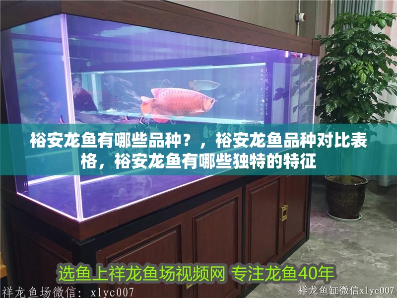 裕安龍魚有哪些品種？，裕安龍魚品種對比表格，裕安龍魚有哪些獨特的特征