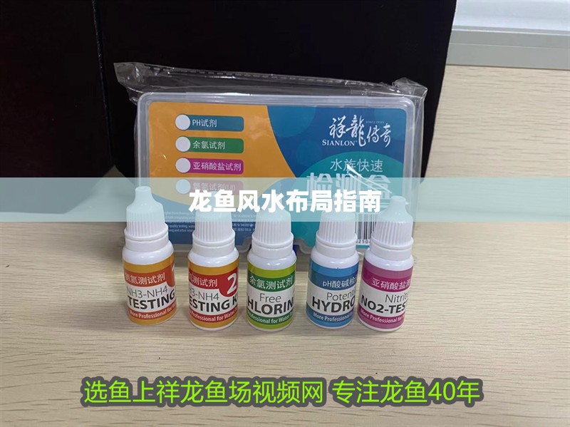 龍魚風(fēng)水布局指南