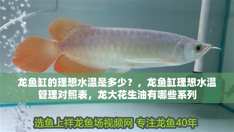 龍魚缸的理想水溫是多少？，龍魚缸理想水溫管理對照表，龍大花生油有哪些系列