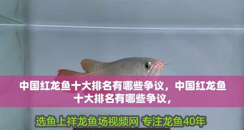 中國紅龍魚十大排名有哪些爭議，中國紅龍魚十大排名有哪些爭議，