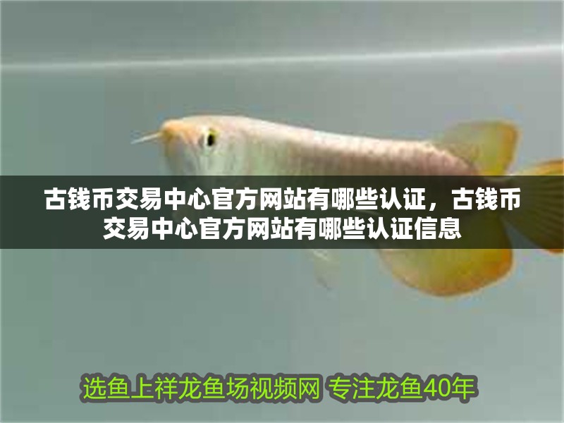 古錢幣交易中心官方網(wǎng)站有哪些認(rèn)證，古錢幣交易中心官方網(wǎng)站有哪些認(rèn)證信息