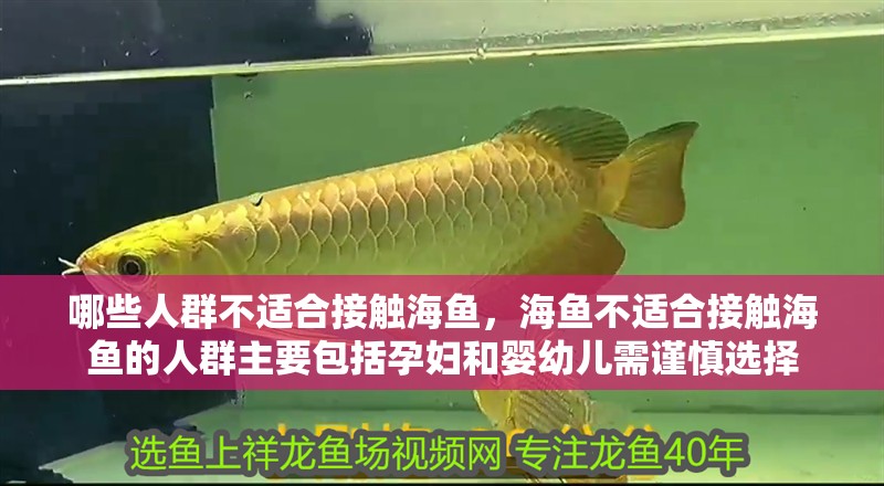 哪些人群不適合接觸海魚，海魚不適合接觸海魚的人群主要包括孕婦和嬰幼兒需謹慎選擇