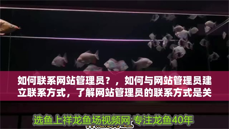如何聯系網站管理員？，如何與網站管理員建立聯系方式，了解網站管理員的聯系方式是關鍵