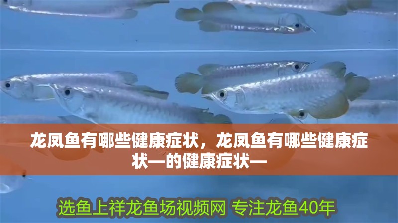 龍鳳魚有哪些健康癥狀，龍鳳魚有哪些健康癥狀—的健康癥狀—