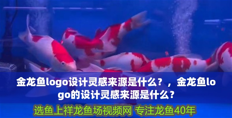金龍魚logo設計靈感來源是什么？，金龍魚logo的設計靈感來源是什么？