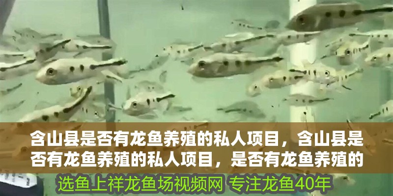 含山縣是否有龍魚(yú)養(yǎng)殖的私人項(xiàng)目，含山縣是否有龍魚(yú)養(yǎng)殖的私人項(xiàng)目，是否有龍魚(yú)養(yǎng)殖的規(guī)劃
