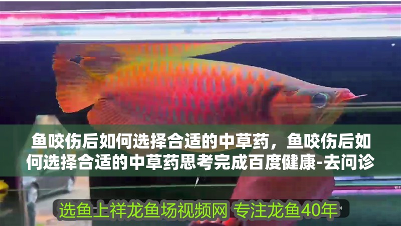 魚咬傷后如何選擇合適的中草藥，魚咬傷后如何選擇合適的中草藥思考完成百度健康-去問診