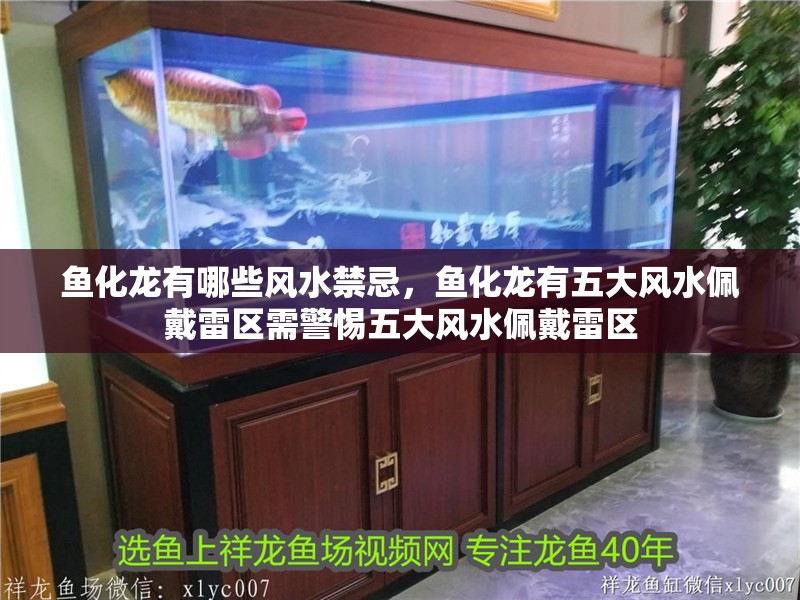 魚化龍有哪些風(fēng)水禁忌，魚化龍有五大風(fēng)水佩戴雷區(qū)需警惕五大風(fēng)水佩戴雷區(qū)