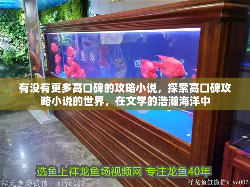 有沒有更多高口碑的攻略小說，探索高口碑攻略小說的世界，在文學的浩瀚海洋中