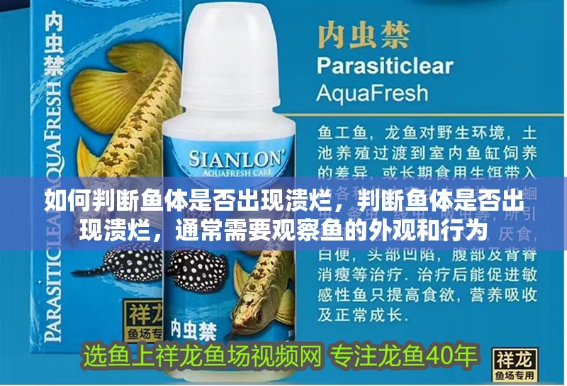 如何判斷魚體是否出現潰爛，判斷魚體是否出現潰爛，通常需要觀察魚的外觀和行為