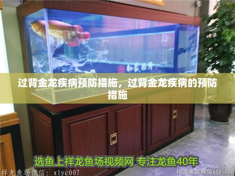 過背金龍疾病預防措施，過背金龍疾病的預防措施