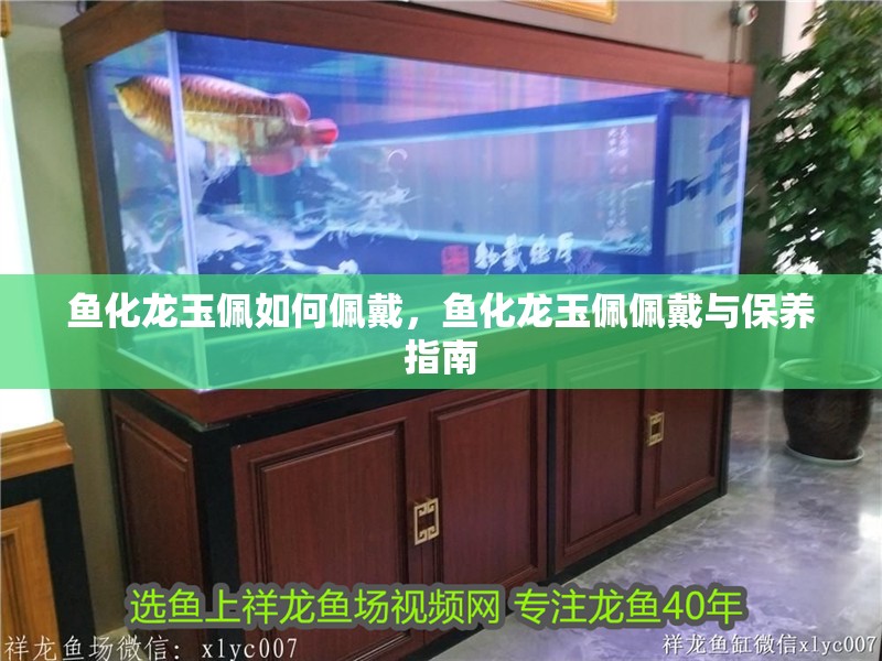 魚化龍玉佩如何佩戴，魚化龍玉佩佩戴與保養指南