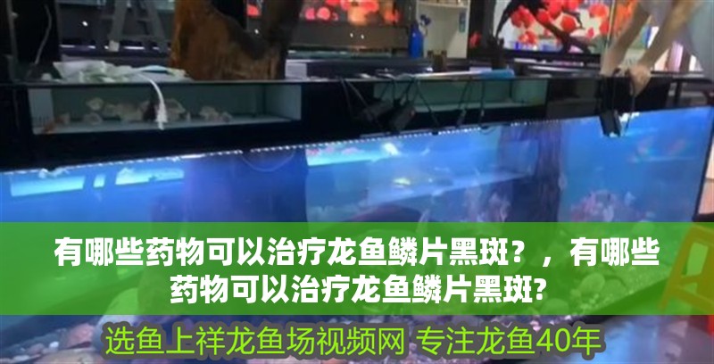 有哪些藥物可以治療龍魚鱗片黑斑？，有哪些藥物可以治療龍魚鱗片黑斑?