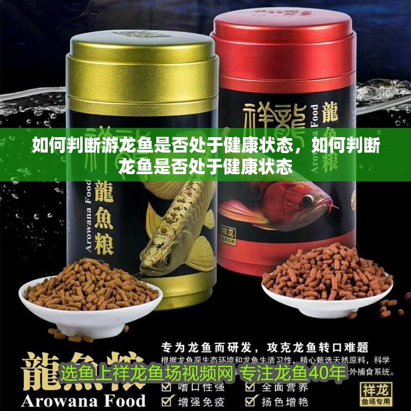 如何判斷游龍魚是否處于健康狀態，如何判斷龍魚是否處于健康狀態