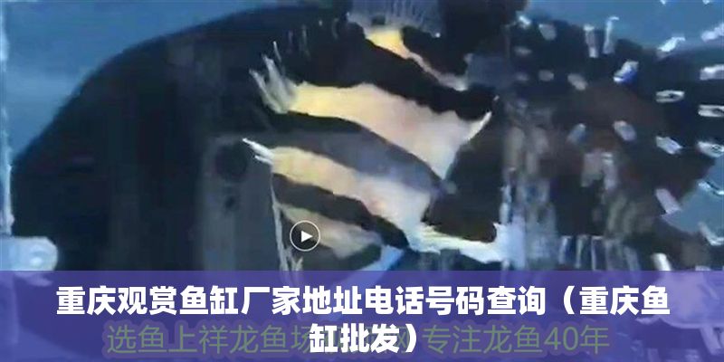 重慶觀賞魚缸廠家地址電話號(hào)碼查詢（重慶魚缸批發(fā)）
