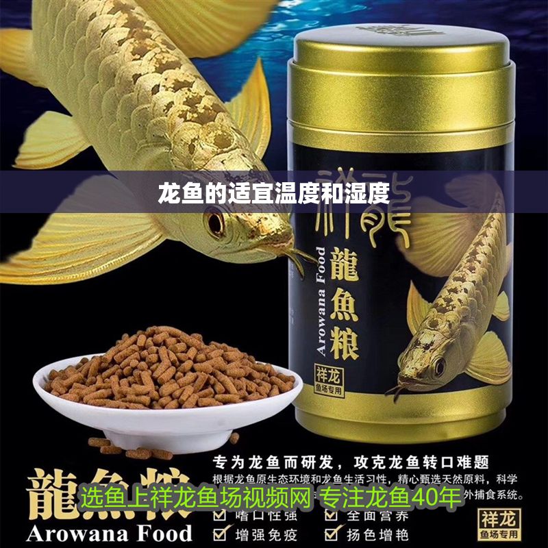 龍魚(yú)的適宜溫度和濕度