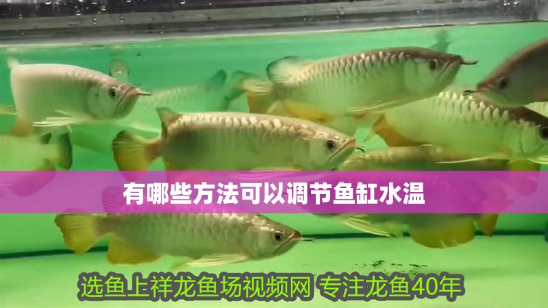 有哪些方法可以調節魚缸水溫