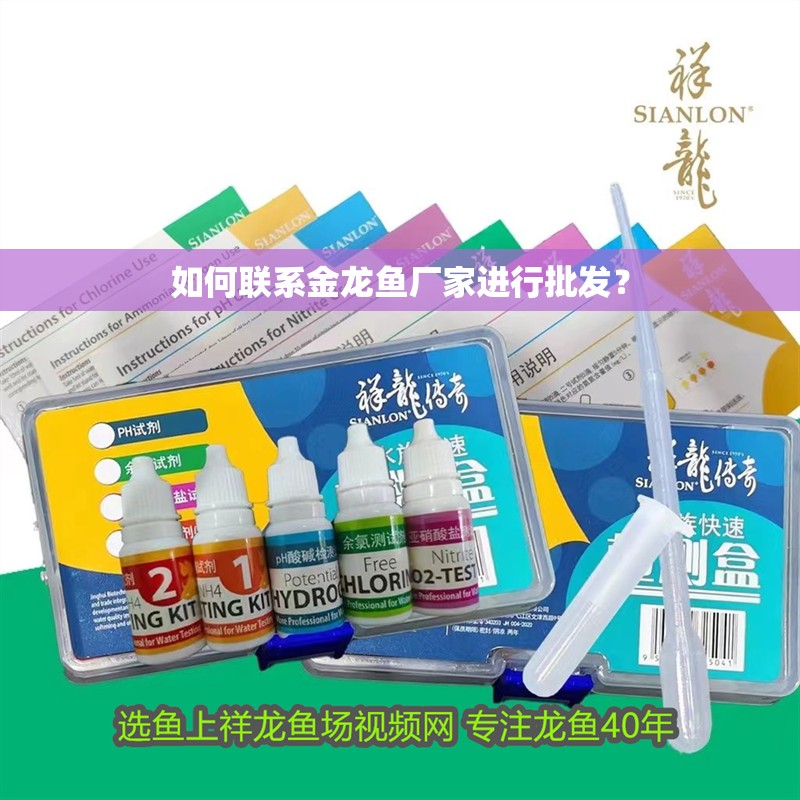 如何聯(lián)系金龍魚(yú)廠家進(jìn)行批發(fā)？