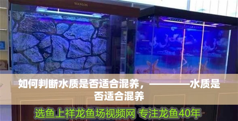 如何判斷水質(zhì)是否適合混養(yǎng)，————水質(zhì)是否適合混養(yǎng)