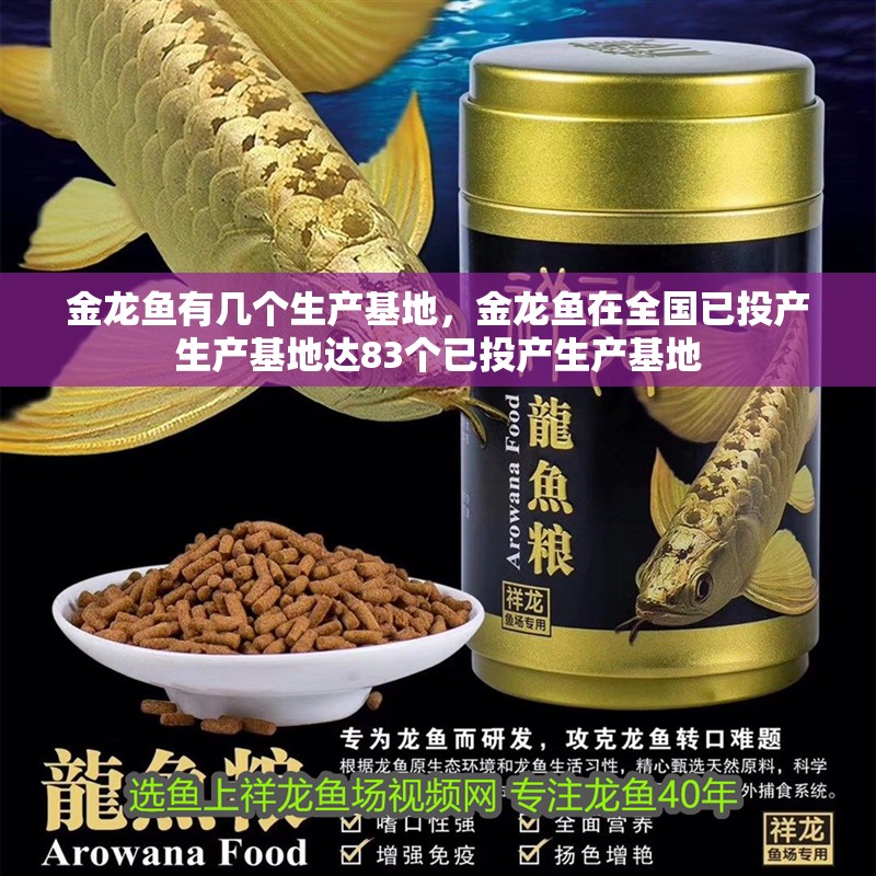 金龍魚有幾個生產基地，金龍魚在全國已投產生產基地達83個已投產生產基地