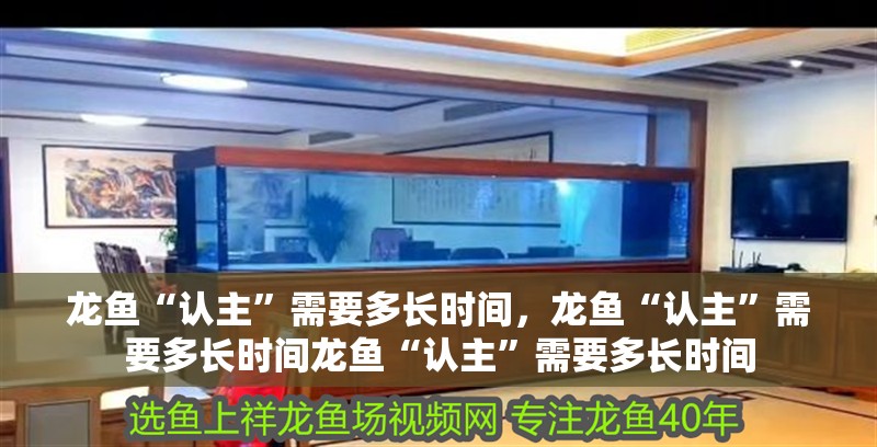 龍魚“認(rèn)主”需要多長(zhǎng)時(shí)間，龍魚“認(rèn)主”需要多長(zhǎng)時(shí)間龍魚“認(rèn)主”需要多長(zhǎng)時(shí)間