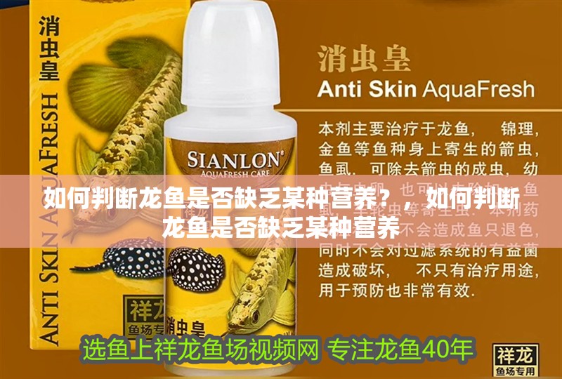 如何判斷龍魚是否缺乏某種營養？，如何判斷龍魚是否缺乏某種營養
