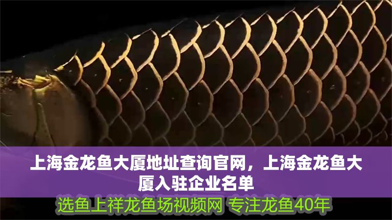 上海金龍魚大廈地址查詢官網，上海金龍魚大廈入駐企業名單