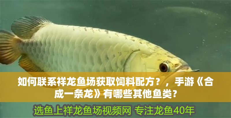 如何聯系祥龍魚場獲取飼料配方？，手游《合成一條龍》有哪些其他魚類？